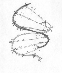 nuevas prácticas sociales y artísticas  entre Ciencia y vida